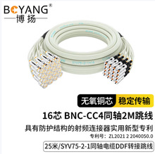 ���P16о2M����BNC-CC4 2M�׳�Ʒ����syv75-2-1ͬ�S��|DDF�D�Ӿ�