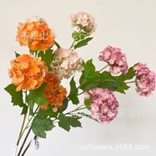 ���潑��ۈF��ꖻ��Ҿ��b�c���յ��߼ٻ��Ƶ�겼�����滨