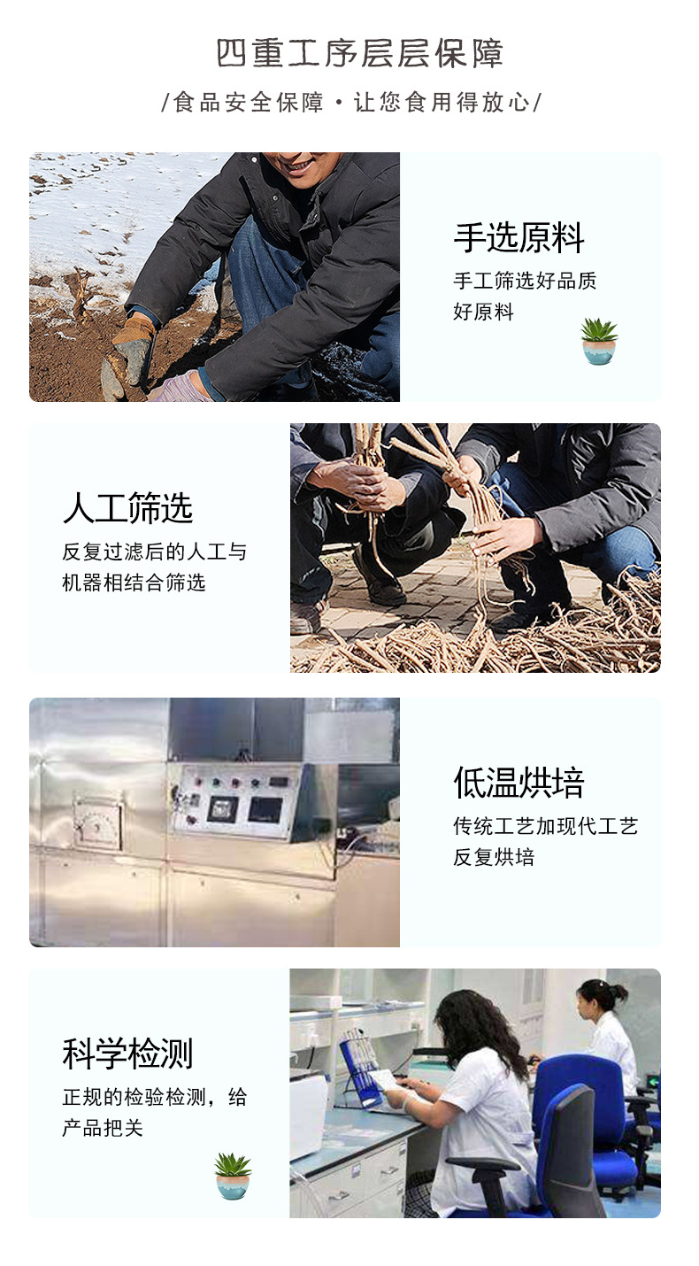 Astragalus Root Slices Huang Qi 黄芪 Premium Gansu Loose Slices for Tea and Decoction 500g quality and texture