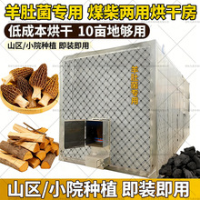 ��Ǿ���əC����ú�����Ģ�����ǽ�Ƭ��ɷ����������