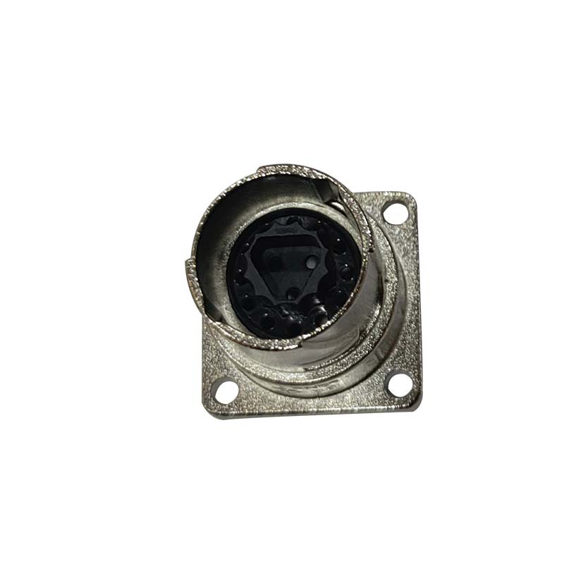 EEGA204NN00000001000