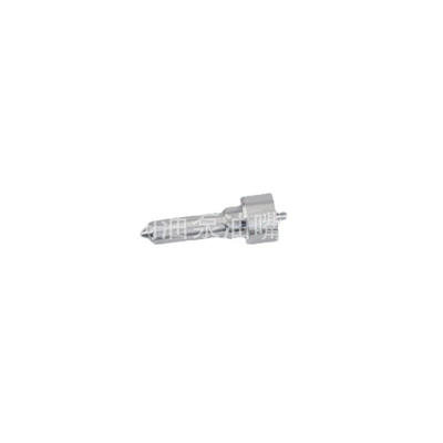 rail injector assembly Ssangyong, Oil pump, nozzle