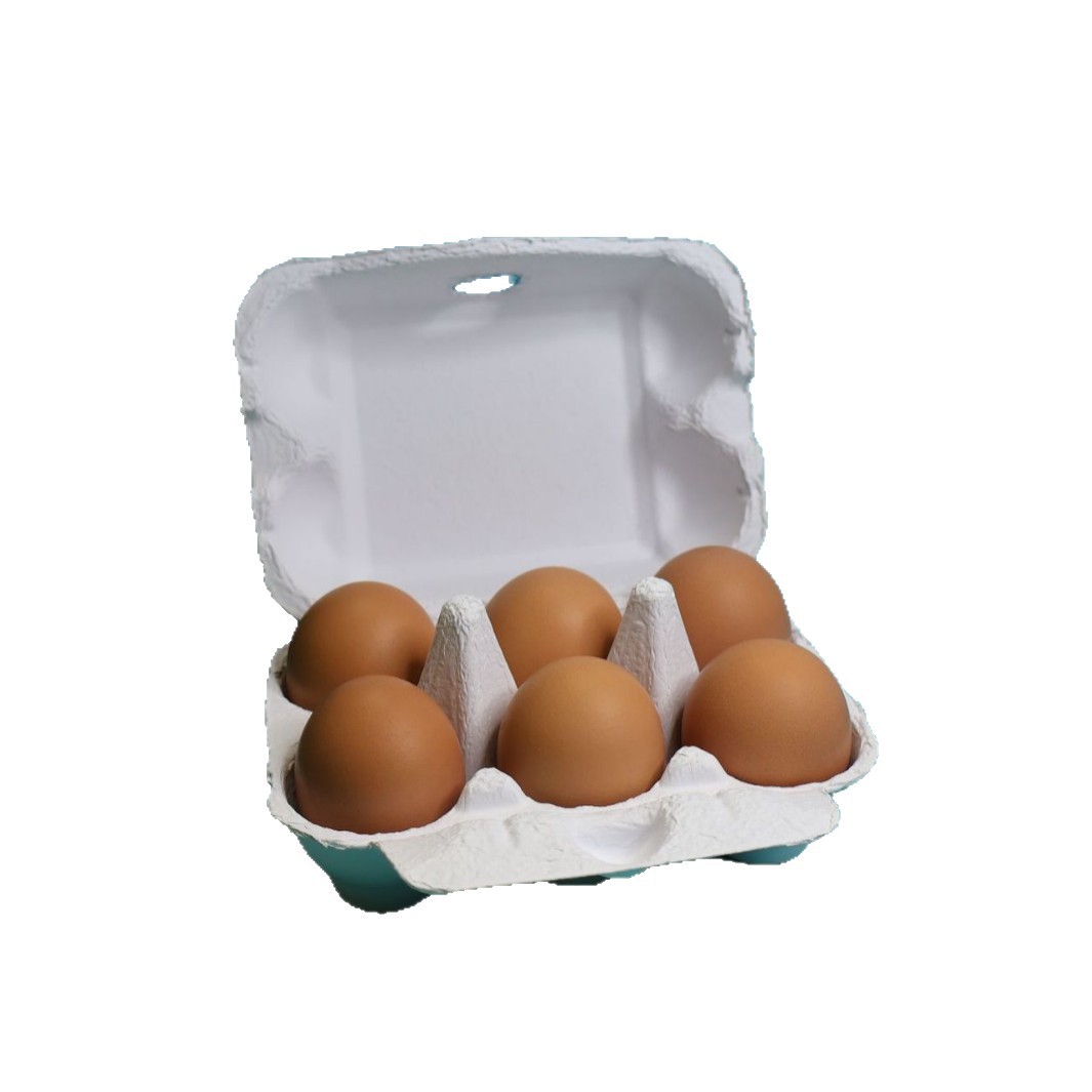 6 piezas de pulpa de huevo caja de huevo bandeja de huevo tierra caja de embalaje de pulpa de embalaje bandeja de huevo desechable a prueba de golpes degradación completa