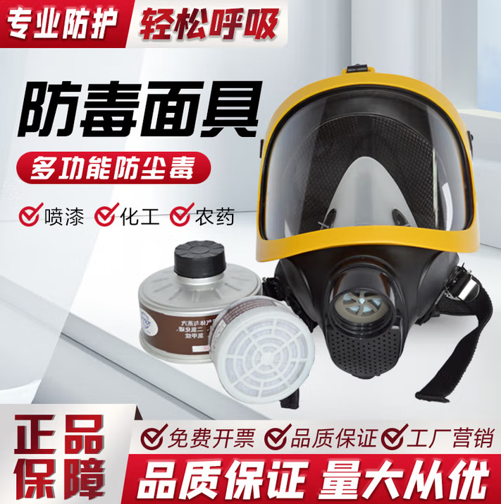 厂家防毒面具喷漆化工气体甲醛消防全面罩空气呼吸器电动送风滤罐