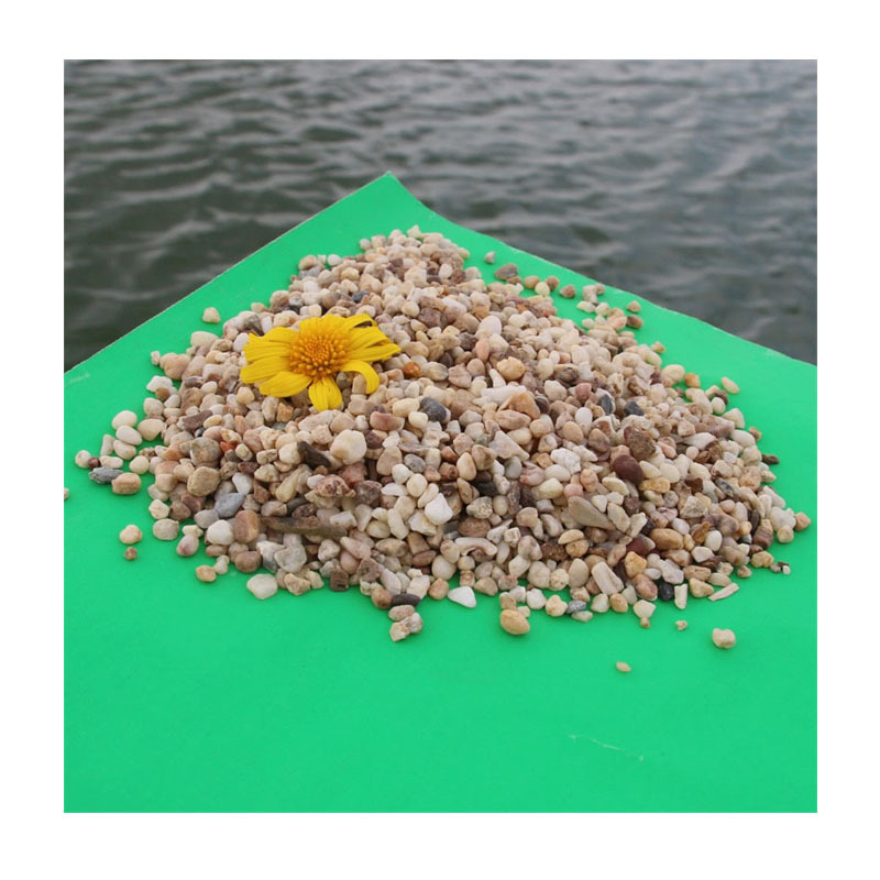 ĥˮĥƺʯ——¹ŵ·Ҿƴ/ר