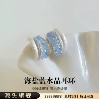 S999纯银针巨好看海盐蓝水晶耳环2026新爆款高级感轻奢小众耳饰女