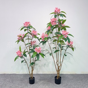 �����辰�Gֲ�S�ҷ���ֲ������u�����������쾰��Ʒ���ϾGֲ����