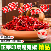 特辣辣椒干辣椒印度椒超辣王商用小米辣干辣椒辣