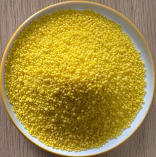 ���ڵ���N25�S�������@���� �����@�w���S������w�� �������