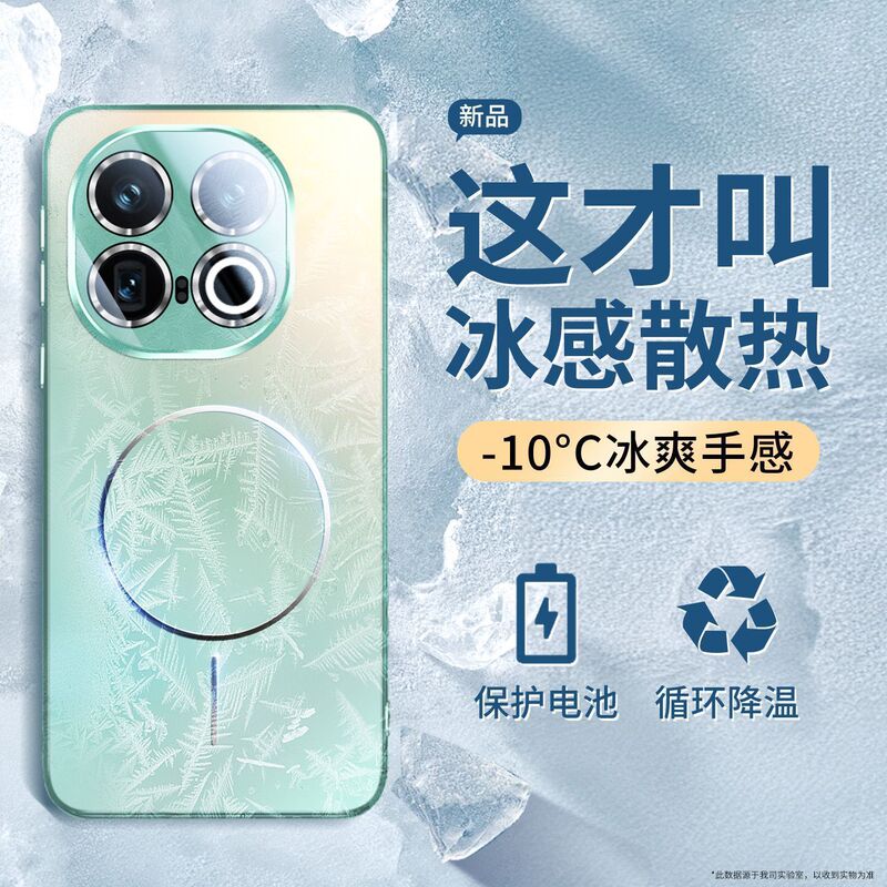 One Piece Drop Shipping New Iqoo13 Magnetic Phone Case 12 Frosted Ultra-Thin Heat Dissipation Lens All-Inclusive Anti-Fall Premium Case