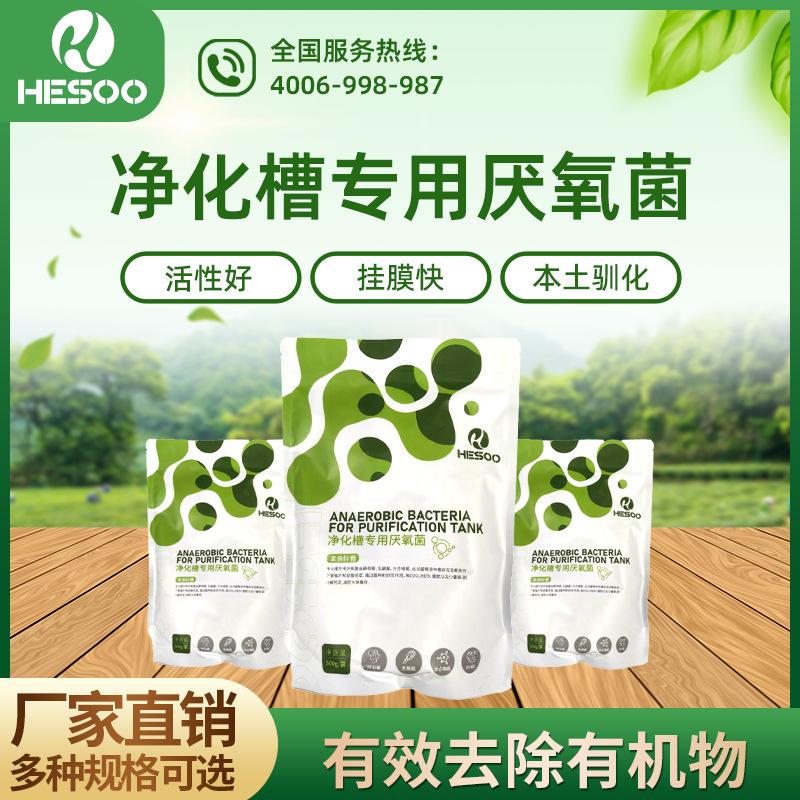 净化槽专用厌氧菌