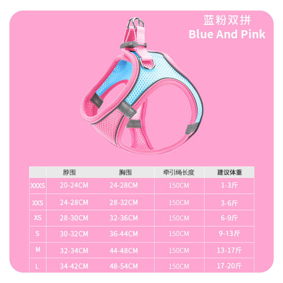 블루와 핑크의 조합