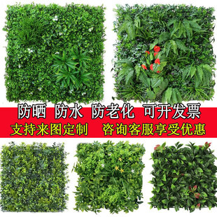 ��ȼ����Gֲ���ϻ����^�������b�������ֲ���ƺ���̈�����