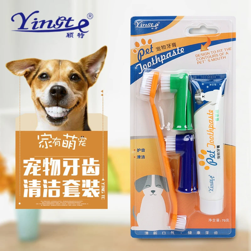 Домашние животные Зубная паста Зубная щетка Собака Кошка Чистая зубы Собака Кошка Щенок Щенок Одноразовая зубная щетка Зубная паста Набор