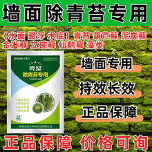 ���ϏS�����l��̦����������߲˻������t������̦������̦����