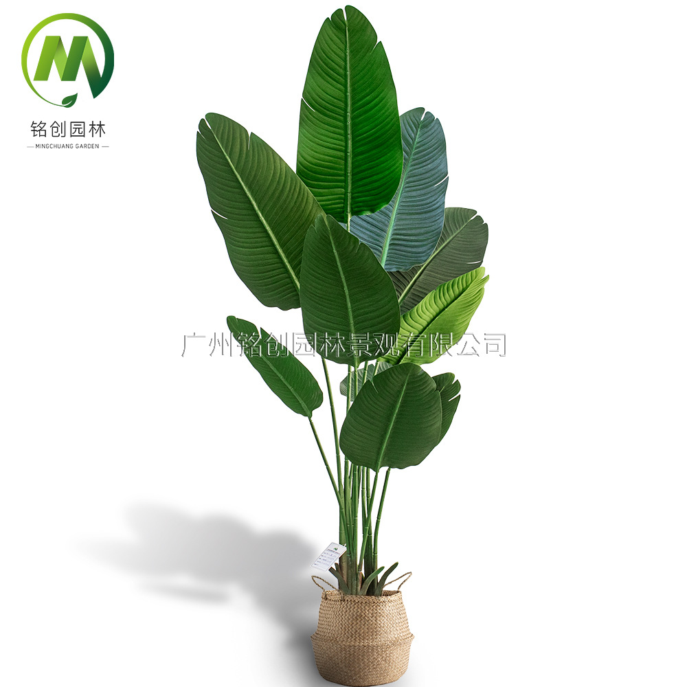 Árbol de simulación transfronterizo, plátano viajero, planta en maceta, nueva planta de simulación, pájaro del paraíso, planta verde de simulación de hoja grande, plátano viajero