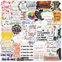 50张新品跨境法语励志语贴纸个性装饰行李箱笔记本防水不重复贴画