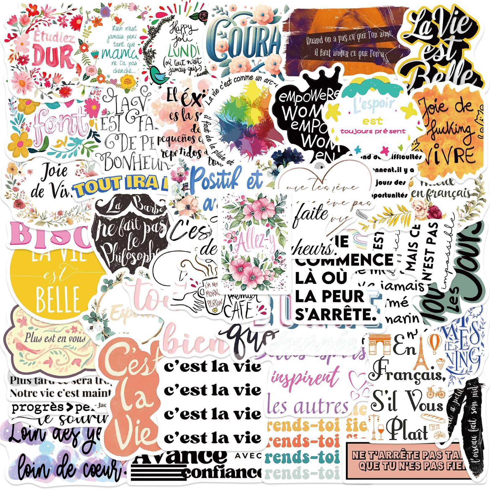 50张新品跨境法语励志语贴纸个性装饰行李箱笔记本防水不重复贴画