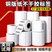 �~�漈�����z�˺��Ӻ��N��100*80*50*40*30*20�l�a��ӡ��ճ�˺���