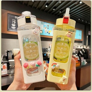 Casual Satchel Square Plastic Cup Large Capacity Gift Cup Outdoor Sports Double-Layer Ins Cartoon Cup Ins Style