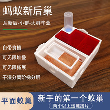 ρ��ƽ�泲�ɝ���x�º�Λρ�Ǳ���Λρ�����W��Λρ�^���