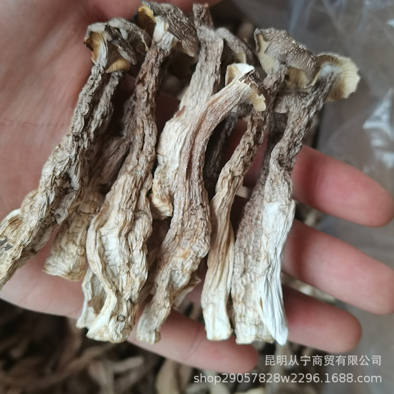 Dried Deer Antler Mushroom 500g Premium Edible Fungus for Soup and Stir Fry key features