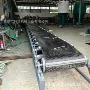 两用传送分拣水平输送机