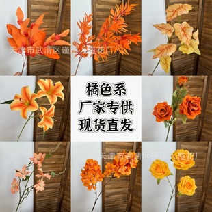 ��ɫ���滨����ɫϵ��Ϧꖼt���Sɫ��c��Y���bٻ������쾰��