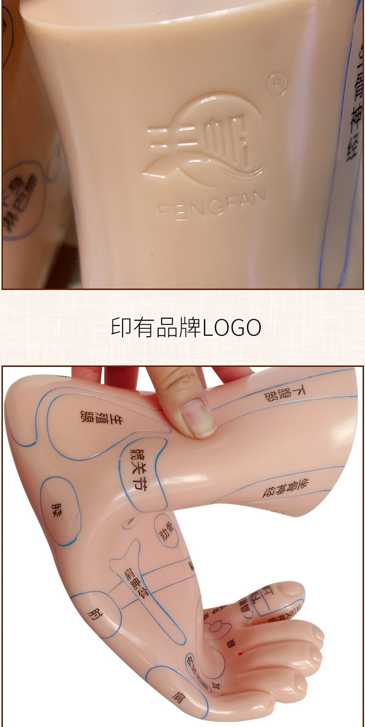 Foot Acupoint Reflexology Model with Clear Markings, Foot Reflex Zone Massager, Acupoint Stick, PVC Foot Model for Home Wellness Routine detail image