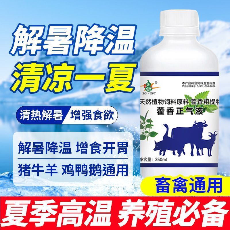 Huo Xiang Zheng Qi 液体は、鶏、アヒル、ガチョウ、熱中症予防、動物、家畜、豚、牛、羊の熱中症予防および熱ストレス予防用に使用されます。|undefined