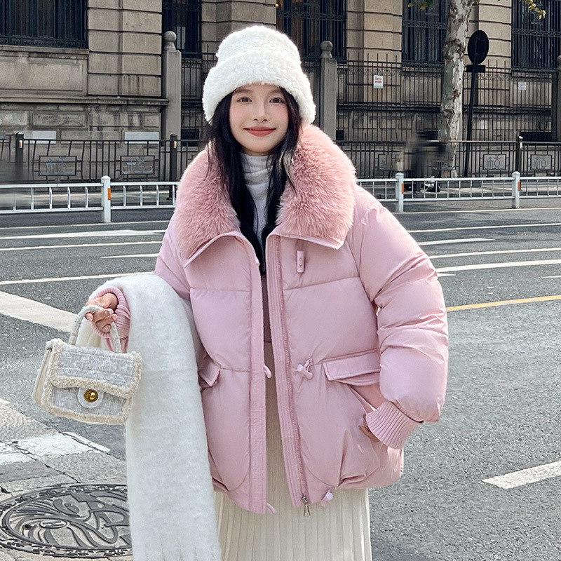 Europa estación corta plumón de algodón mujer 2025 nuevo invierno gran cuello con solapa de moda de algodón chaqueta pequeña