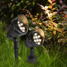 led՘VͶͥԺ@քeطˮ12wͶ