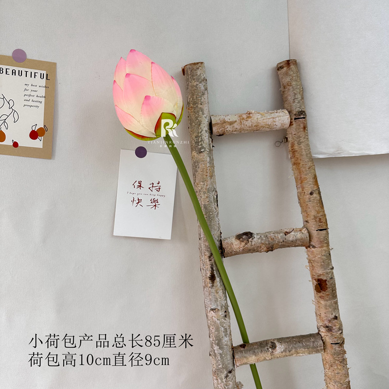 샤오 리안 바오
