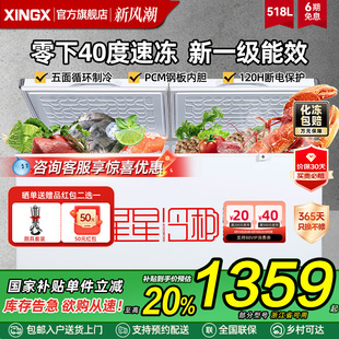 Star Freezer Commercial Freezer Large Capacity Refrigerated Freezer Horizontal Single Temperature Refrigerator Fresh-Keeping Freezer