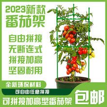 2023新款番茄架西紅柿架子陽台種植支架小黃瓜月季花架植物固定架
