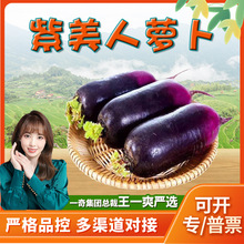 【严选】山东紫美人萝卜 3斤紫皮萝卜新鲜生吃水果萝卜当季蔬菜
