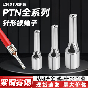 CNXI�A���Ƽ�PTN���������䉺�Ӿ��������~����ξ����� �~����