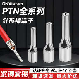 CNXI华西科技PTN针型裸端子冷压接线端子紫铜插针形线鼻子 铜线耳
