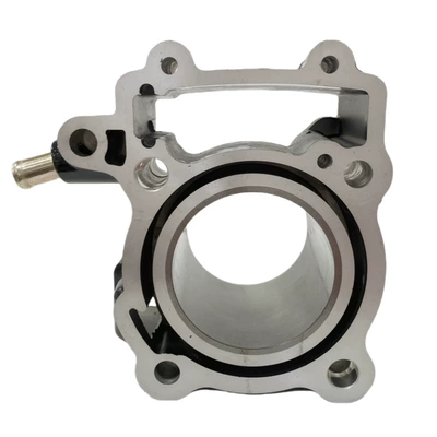 Rs200 As200 Ns200 cylinder – Cylinder and parts