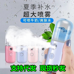 外国貿易のよく売れているナノスプレーの補水器の顔の加湿器の小型の携帯用充電美容器の冷噴機