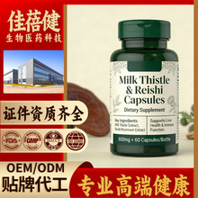 �羳���R�dˮ�w�E�z��milk thistle���Kˮ�w�E���E���z�Ҷ��ƴ���