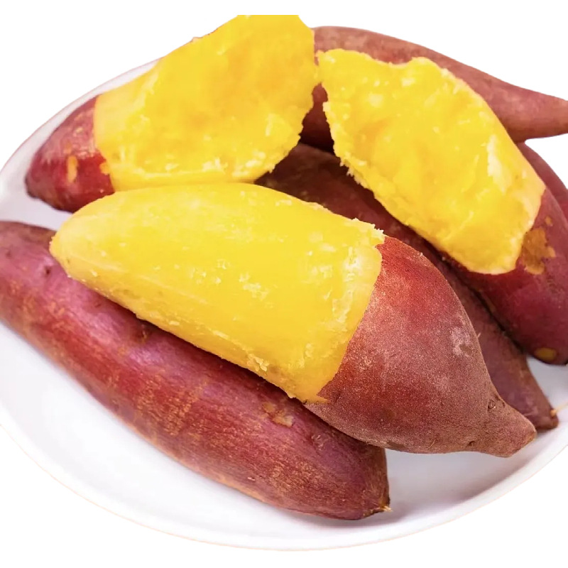 浙江小香薯新鲜现挖红薯整件包邮沙地番薯地瓜小香薯一件代发