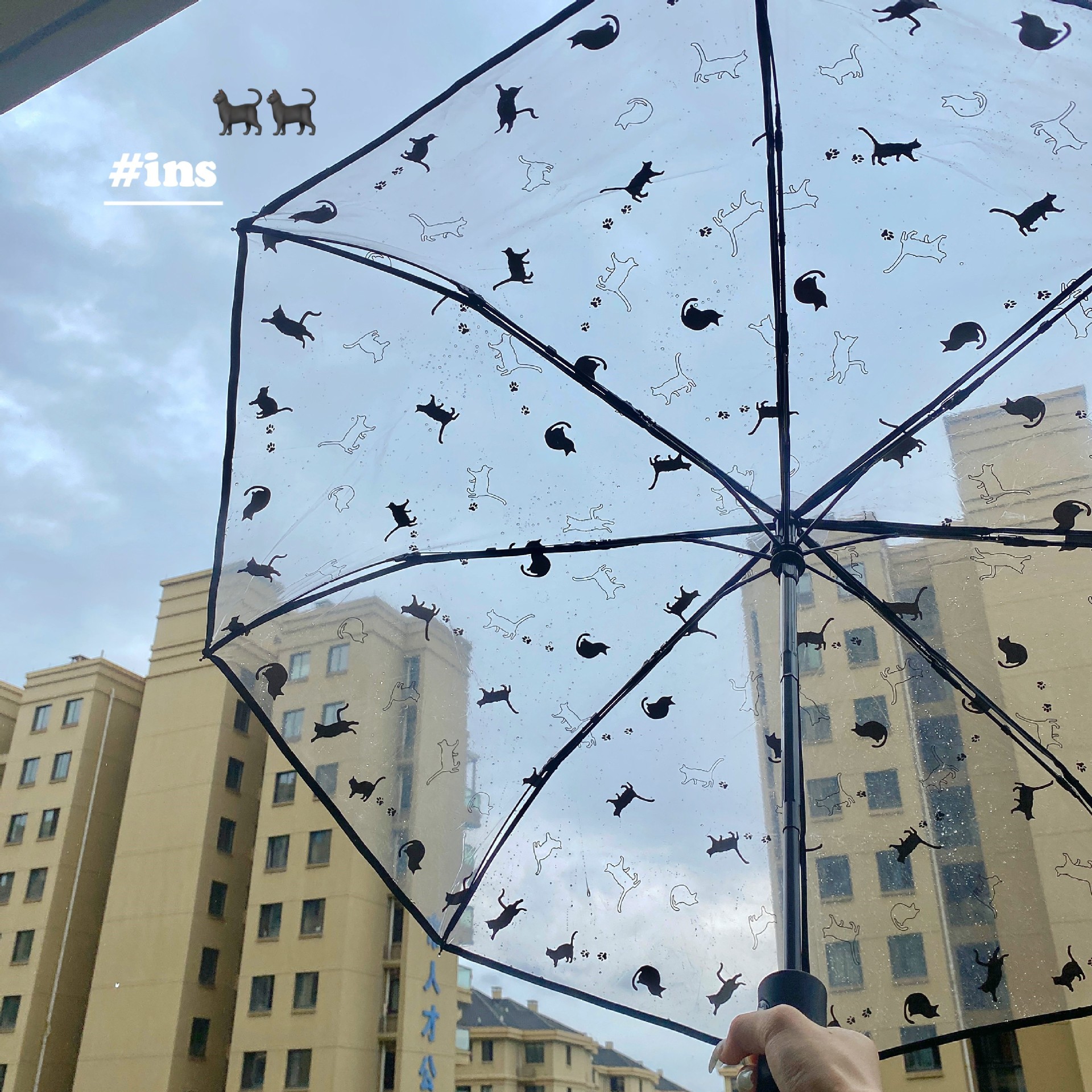 Japanese cute automatic painted umbrella
