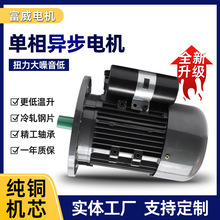 YL802-4单相750W软冰机用电机低噪音全铜机芯卧式电动机B3系列
