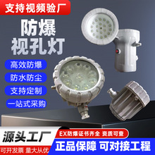 防爆灯LED视孔灯BSD反应釜视镜灯密闭容器探照灯照明内视灯射灯