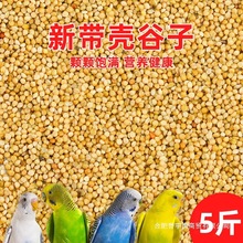 鹦鹉鸟料饲料鸟粮新黄谷子带壳小米虎皮饲料玄凤牡丹专用批发代发