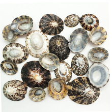 ����ؐ�ľ�з����ؐ���zӰ�~���쾰��ˇ�b��R�d������