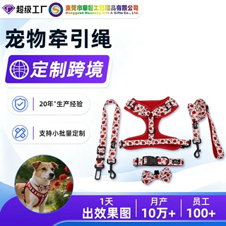 华松跨境爆款宠物胸背牵引绳套装可调节耐磨防丢宠物胸背遛狗绳
