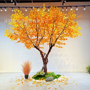 ��������ט�������y�Ә�ͥԺ�̈�����ֲ���쾰�b��^�٘�