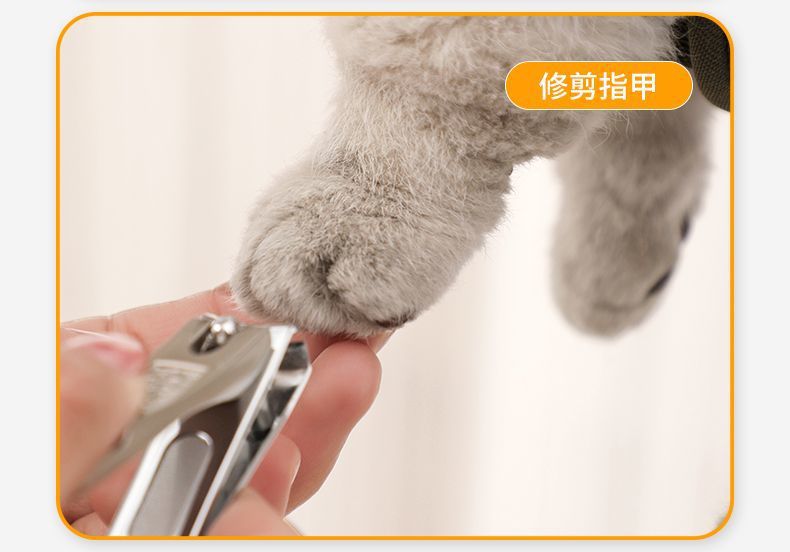 54ae42f2-ce9c-44ba-b1d6-cf53cd0ef0e5.jpe
